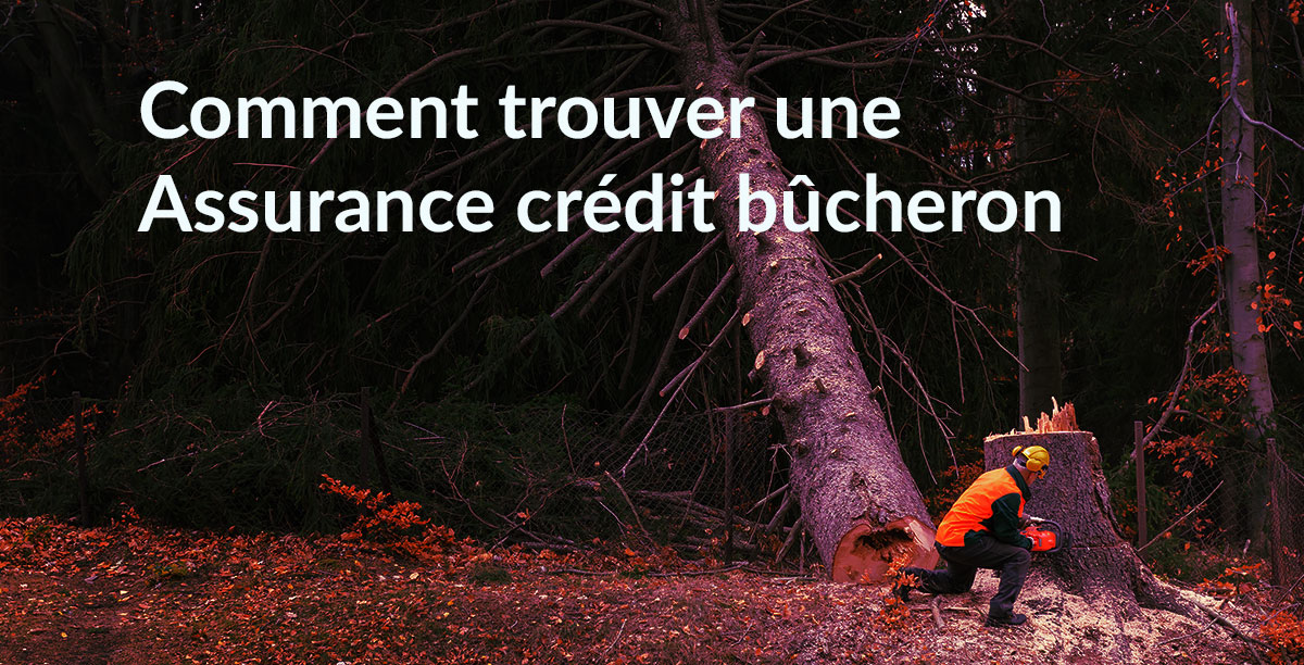 Assurance credit bûcheron