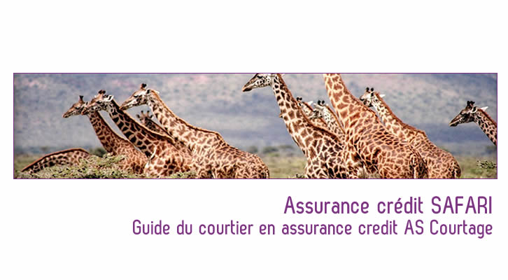 Souscrire à une Assurance de pret Safari