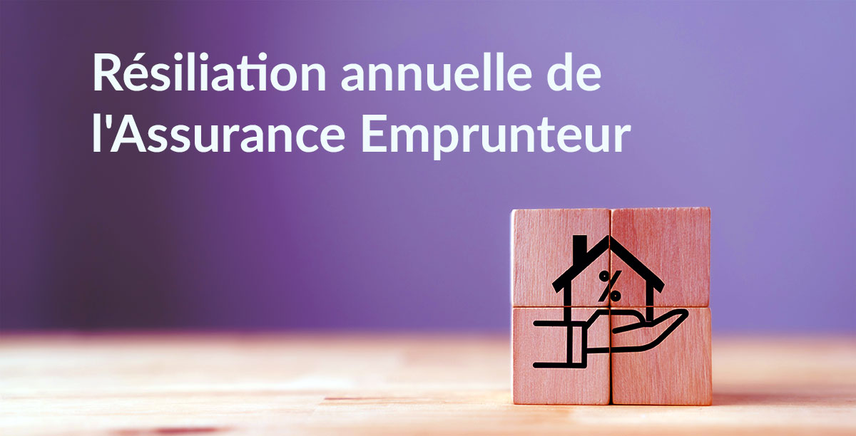 La résiliation annuelle de l&rsquo;Assurance Emprunteur validée par le conseil constitutionnel