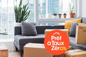 nouveau ptz